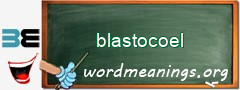 WordMeaning blackboard for blastocoel